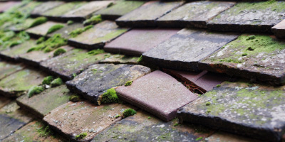 Lower Pollicott roof repair costs
